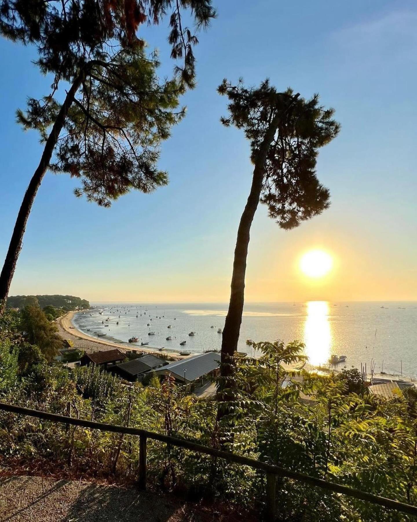 Cocon Entre Presqu'Ile Du Cap Ferret Et Plages Oceanes - Terrasse - 1 Velo Gratuit Ares Zewnętrze zdjęcie