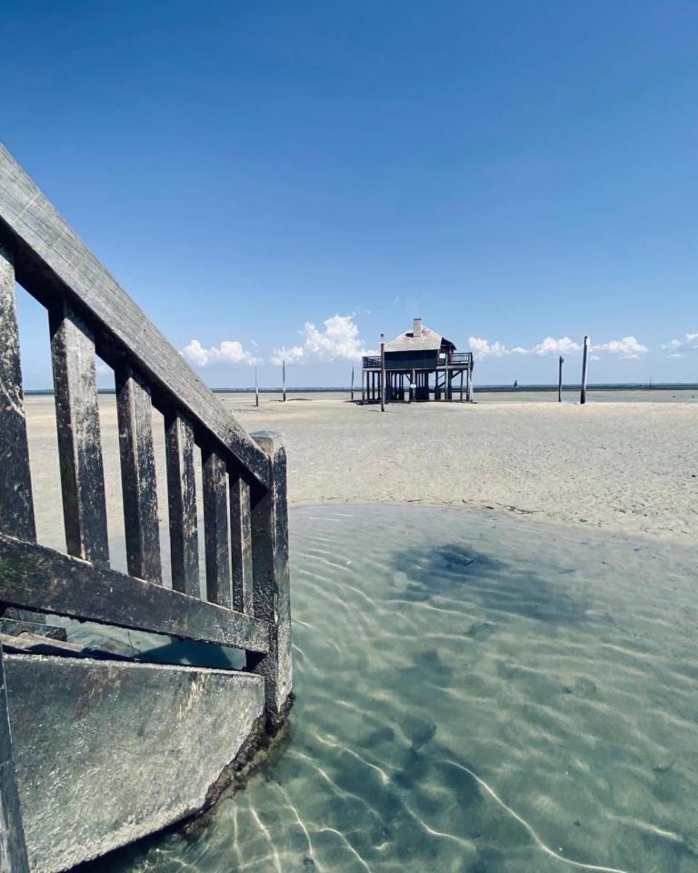 Cocon Entre Presqu'Ile Du Cap Ferret Et Plages Oceanes - Terrasse - 1 Velo Gratuit Ares Zewnętrze zdjęcie