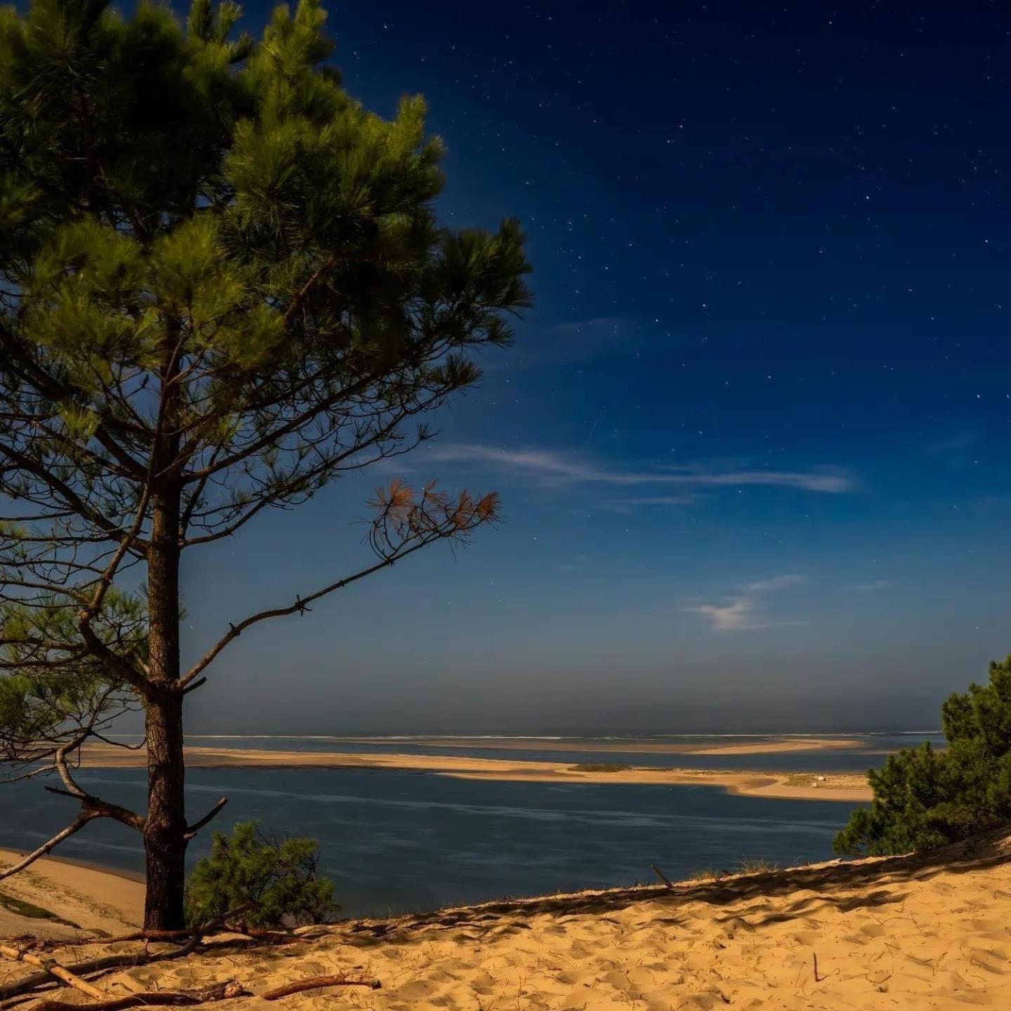 Cocon Entre Presqu'Ile Du Cap Ferret Et Plages Oceanes - Terrasse - 1 Velo Gratuit Ares Zewnętrze zdjęcie