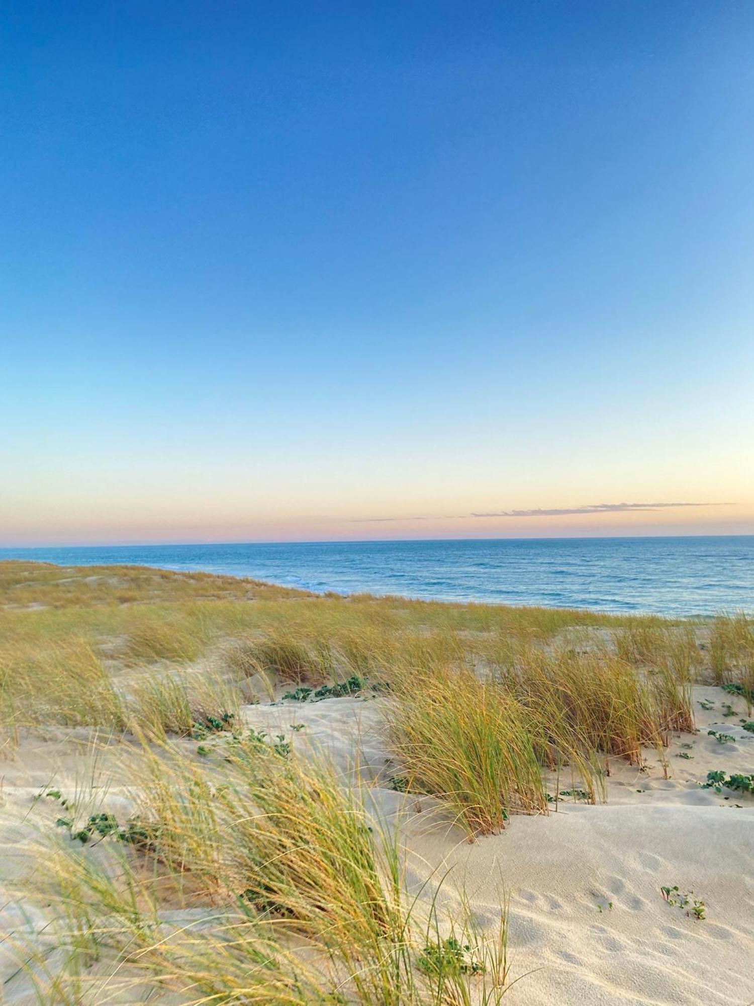 Cocon Entre Presqu'Ile Du Cap Ferret Et Plages Oceanes - Terrasse - 1 Velo Gratuit Ares Zewnętrze zdjęcie
