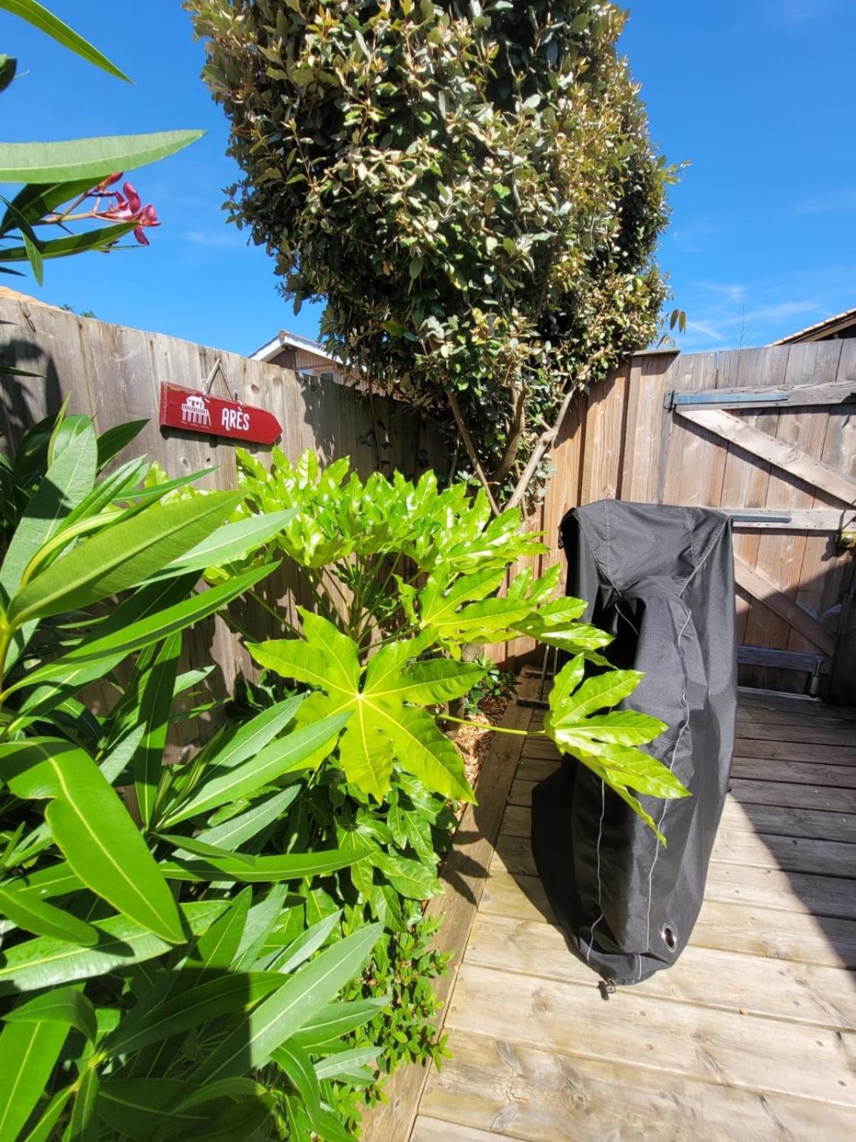 Cocon Entre Presqu'Ile Du Cap Ferret Et Plages Oceanes - Terrasse - 1 Velo Gratuit Ares Zewnętrze zdjęcie